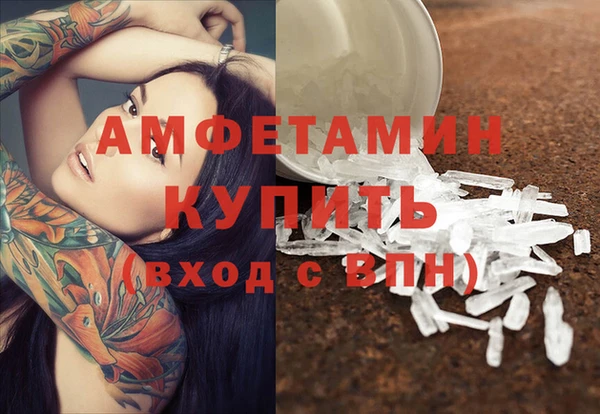 трава Надым