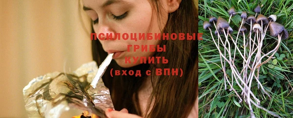 стаф Михайловка