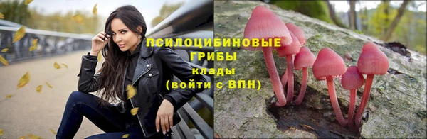 трава Надым