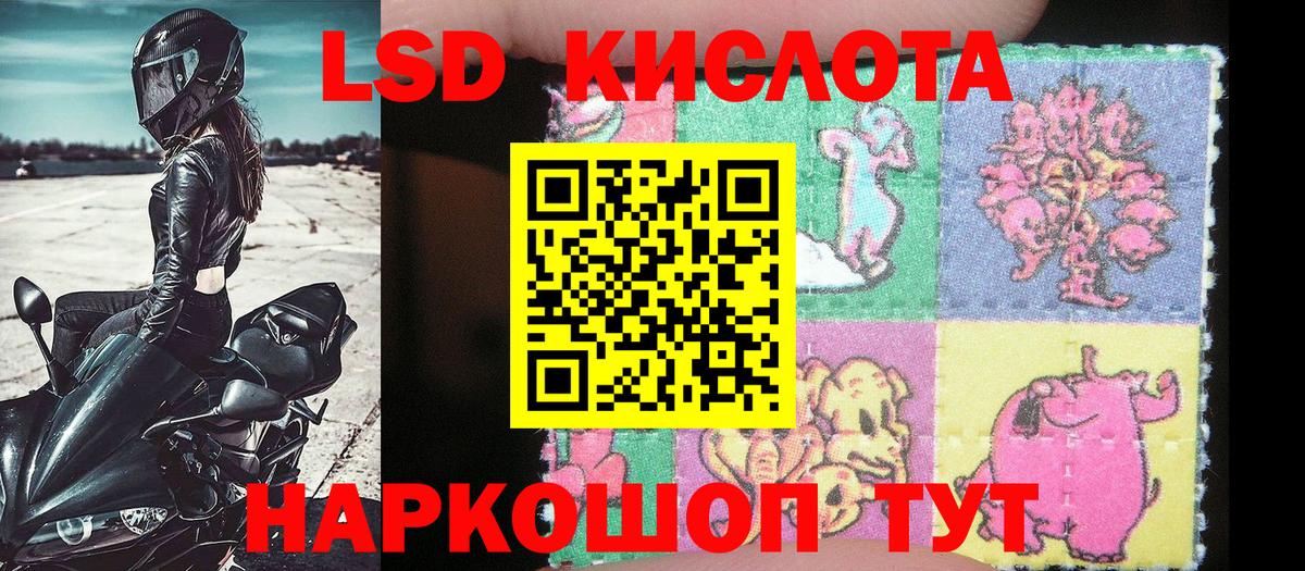 Марки NBOMe 1500мкг  Марки NBOMe 1500мкг  Элиста  Вход с VPN 