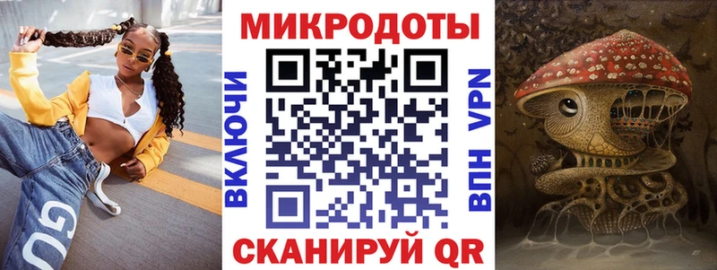 Псилоцибиновые грибы Psilocybine cubensis  Элиста 
