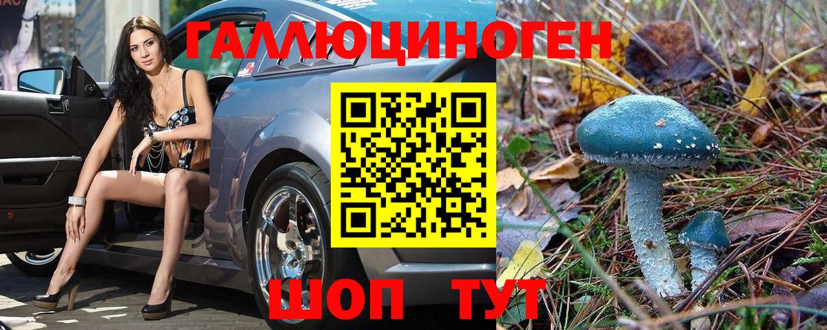 Псилоцибиновые грибы MAGIC MUSHROOMS  Вход с VPN  Элиста 